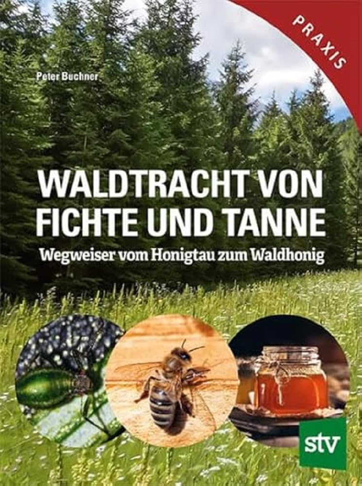 Waldtracht von Fichte und Tanne Natural Sciences
