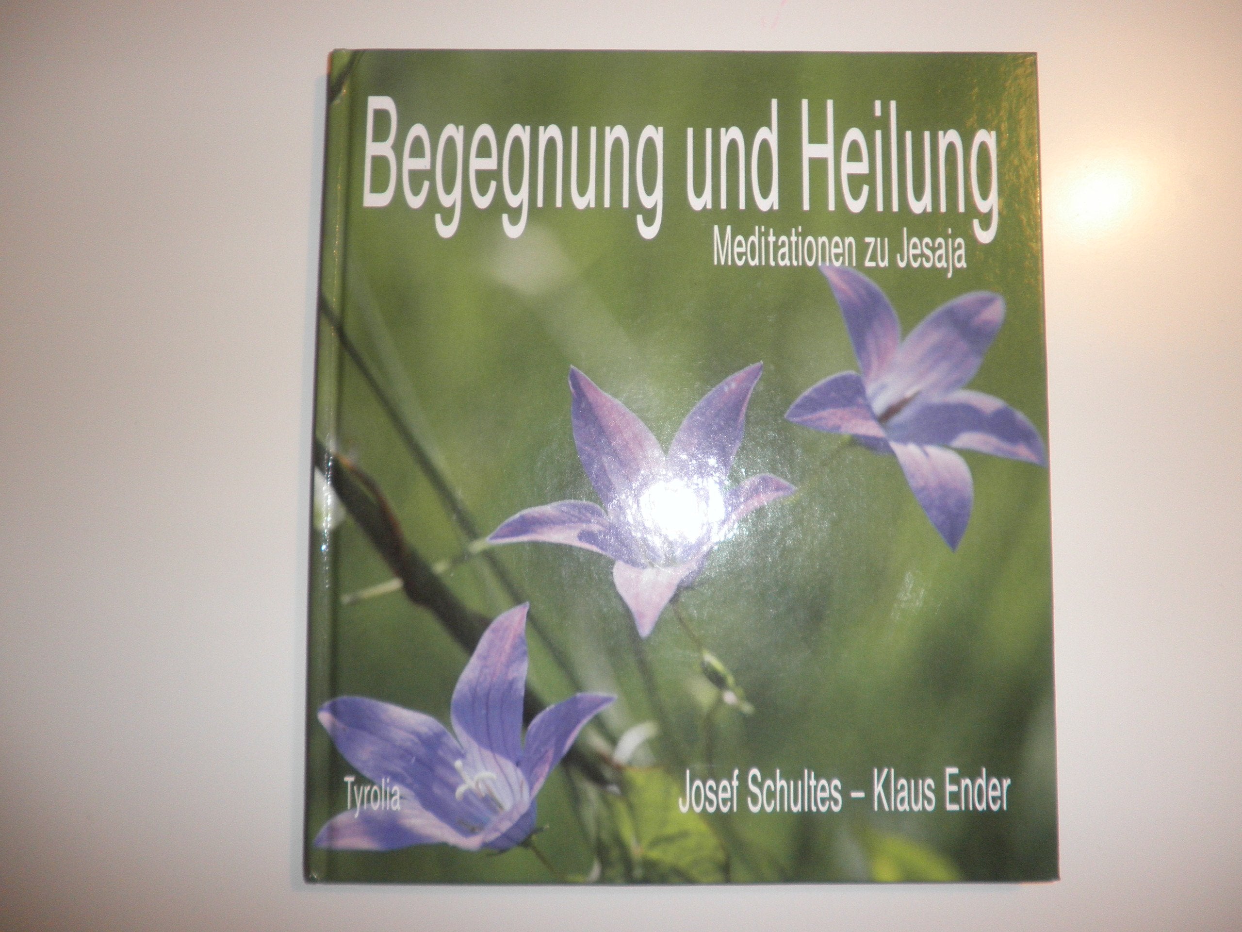 Begegnung und Heilung. Meditationen zu Jesaja Lifestyle