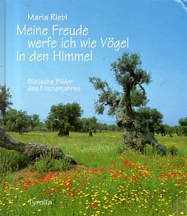 Meine Freude werfe ich wie Vögel in den Himmel. Biblische Bilder des Kirchenjahres Religion & Esotericism