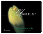 Licht-Bilder. Fotos von Angelika Haller-Defner. Living & Furnishing