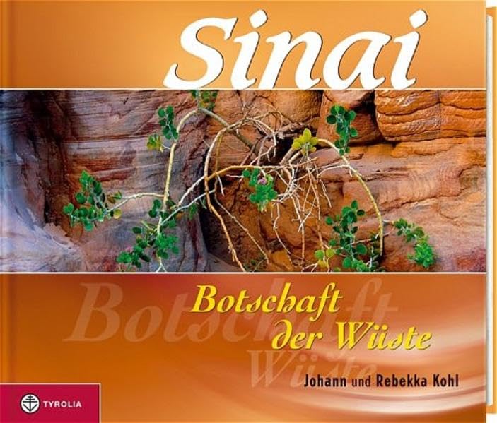 Sinai: Botschaft der Wüste Leisure, Home & Garden Books