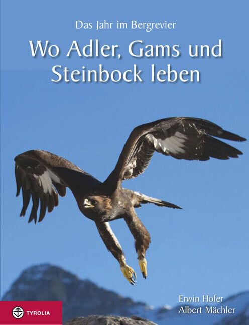Wo Adler, Gams und Steinbock leben: Das Jahr im Bergrevier. Mit spannenden Jagdgeschichten und brilllanten Bilder von Albert Mächler Film, Art & Culture