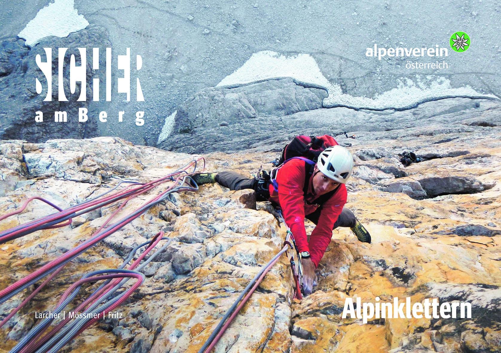 Sicher am Berg: Alpinklettern Business, Finance & Career