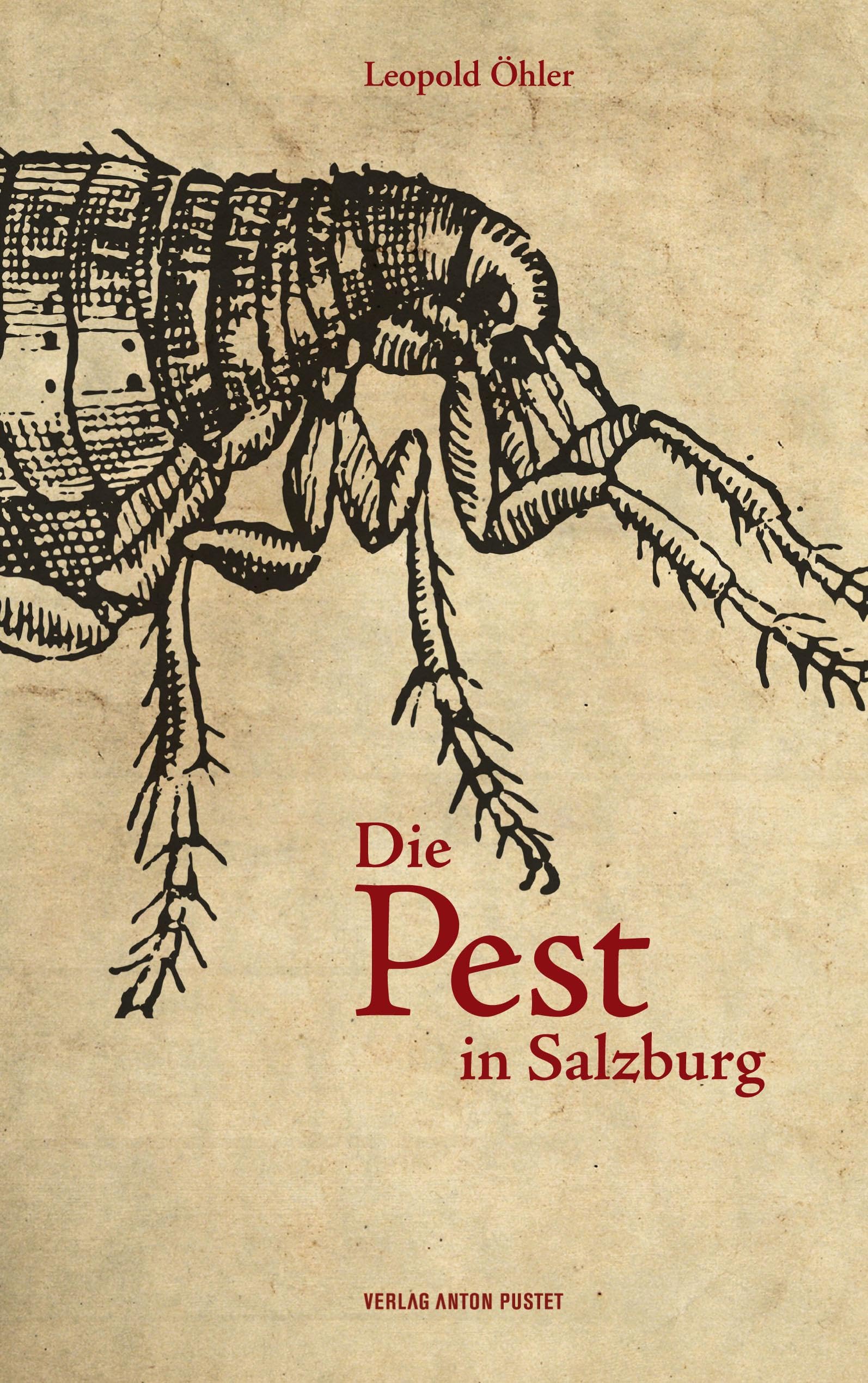 Die Pest in Salzburg General education