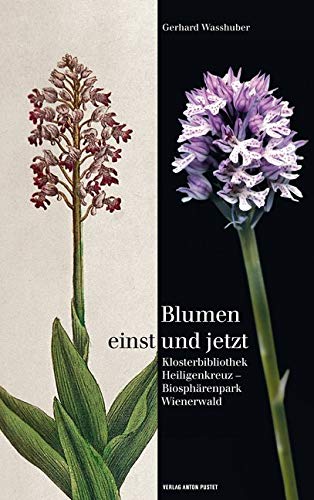 Product Image: Blumen einst und jetzt
