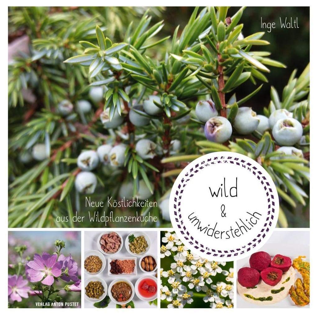 wild & unwiderstehlich: Neue Köstlichkeiten aus der Wildpflanzenküche Garden & Plants