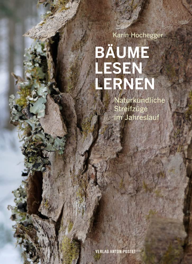 Bäume lesen lernen: Naturkundliche Streifzüge im Jahreslauf Leisure, Home & Garden