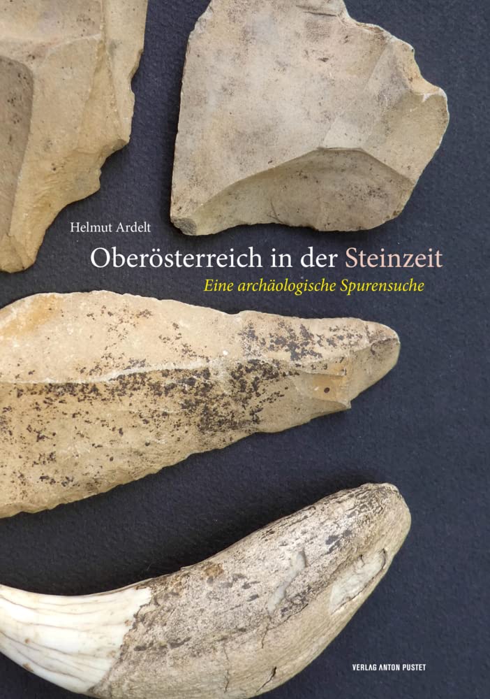 Oberösterreich in der Steinzeit: Eine archäologische Spurensuche Natural Sciences