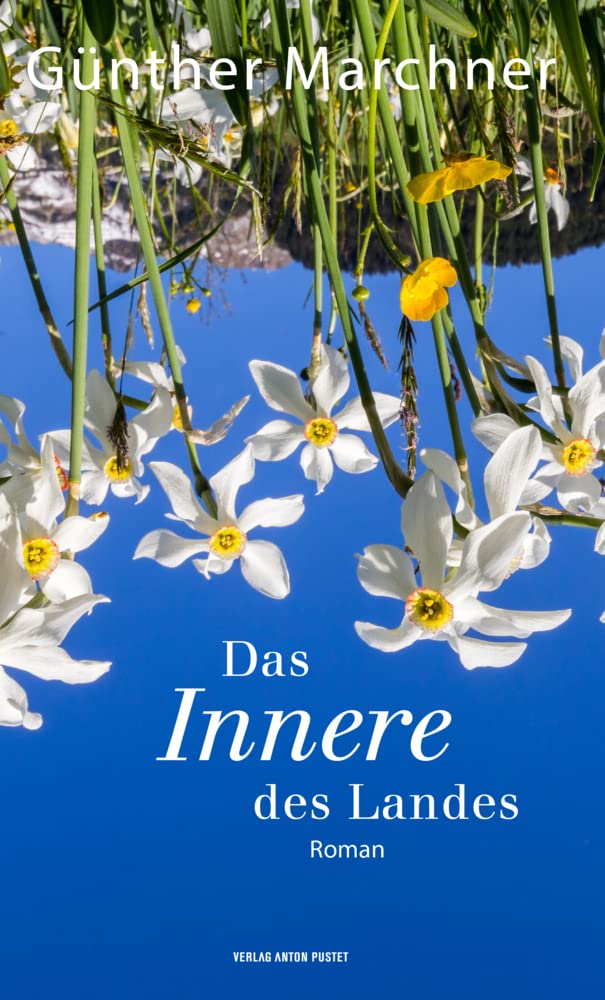 Das Innere des Landes: Widerstand im Salzkammergut, Kriminalroman Contemporary literature