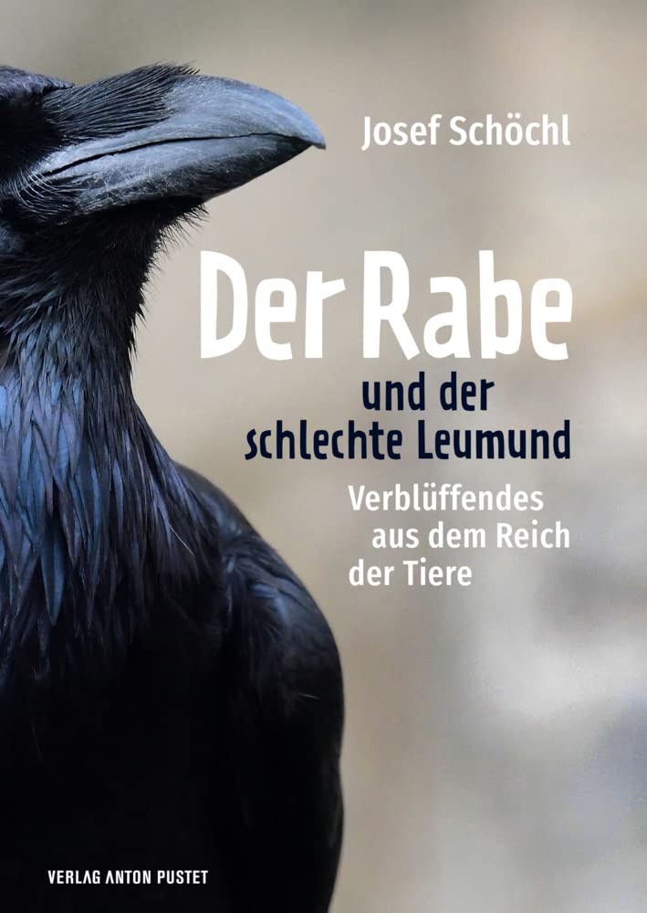 Der Rabe und der schlechte Leumund Pets