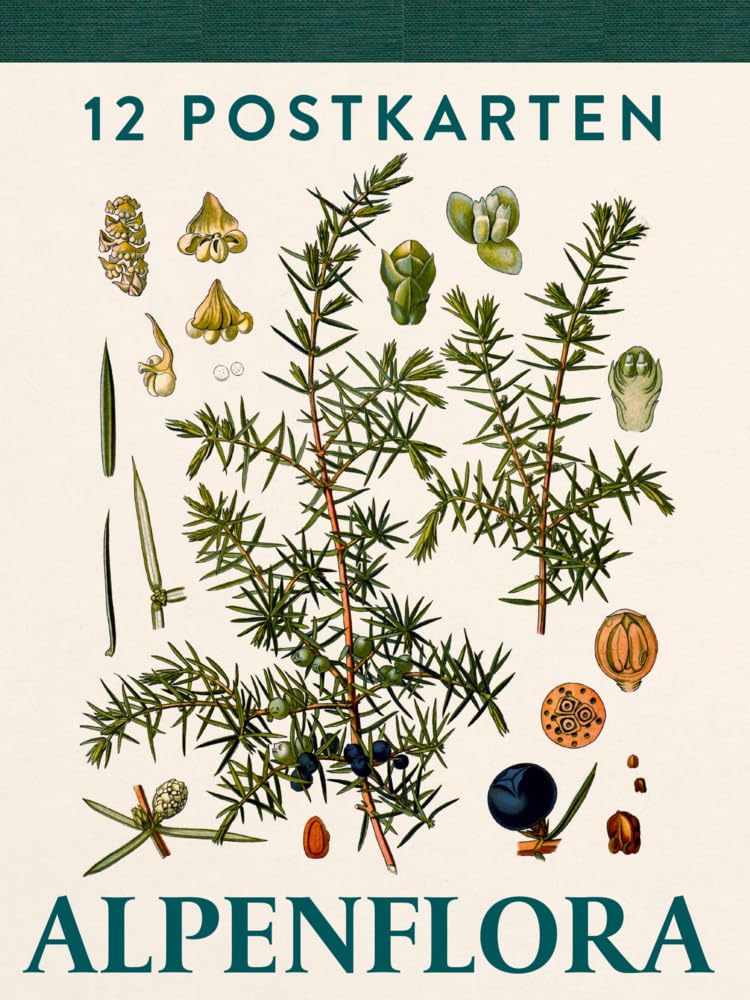 Alpenflora: Postkartenbuch. Zwölf hochwertige Postkarten mit ausgewählten botanischen Zeichnungen aus dem Buch „Alpenflora“ Posters