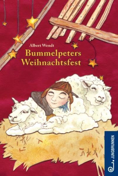 Bummelpeters Weihnachtsfest Non-fiction