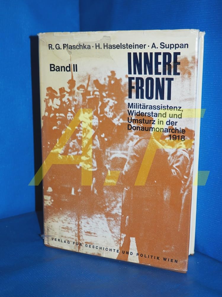 Innere Front. Militärassistenz, Widerstand und Umsturz in der Donaumonarchie 1918: Band 2: Umsturz Politics & History