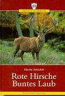 Rote Hirsche, buntes Laub Memories