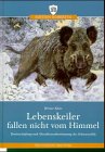 Product Image: Lebenskeiler fallen nicht vom Himmel