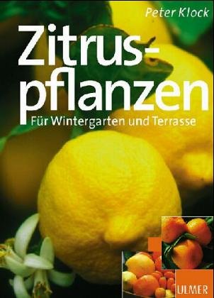 Zitruspflanzen Garden & Plants
