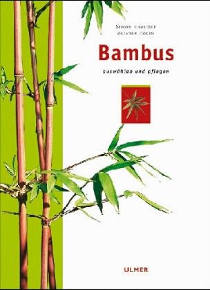 Product Image: Bambus: Auswählen und pflegen