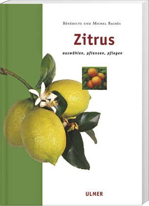Zitrus: Auswählen, pflanzen, pflegen Garden & Plants