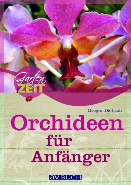 Orchideen für Anfänger (Gartenzeit) Garden & Plants