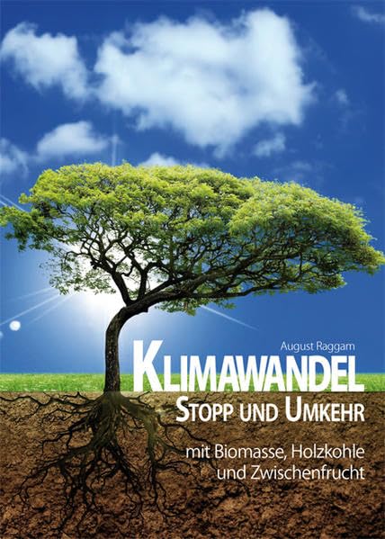 Klimawandel Stopp und Umkehr: mit Biomasse, Holzkohle und Zwischenfrucht Natural Sciences