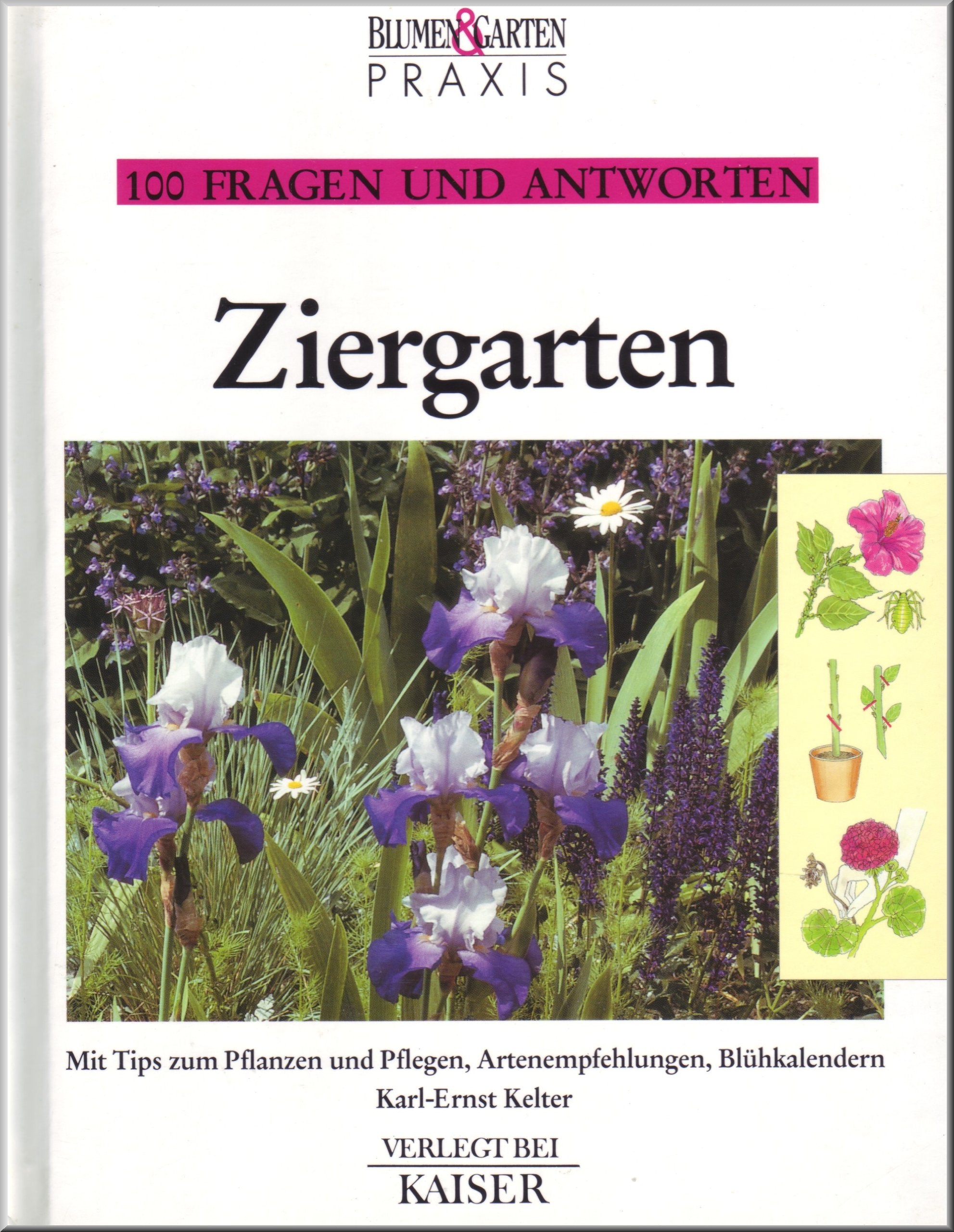 Ziergarten. 100 Fragen und Antworten. Books