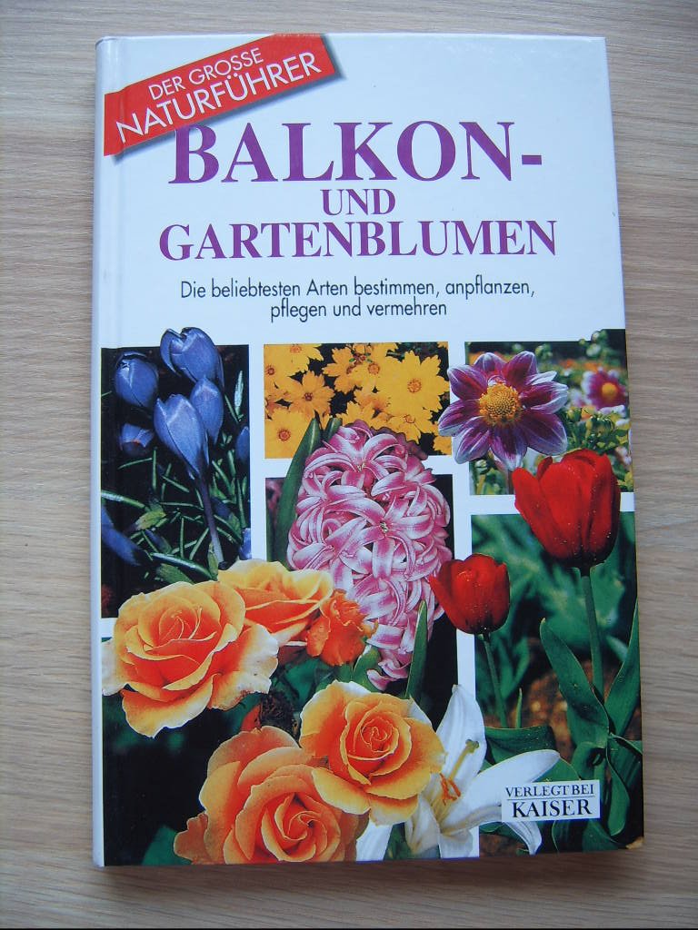 Balkon- und Gartenblumen: Die beliebtesten Arten bestimmen, anpflanzen, pflegen und vermehren Garden & Plants