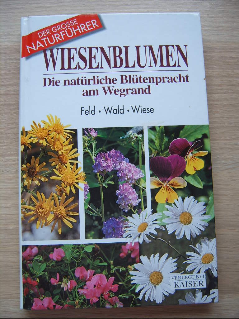 Blumen am Wegrand: In Feld, Wald und Wiese Leisure, Home & Garden