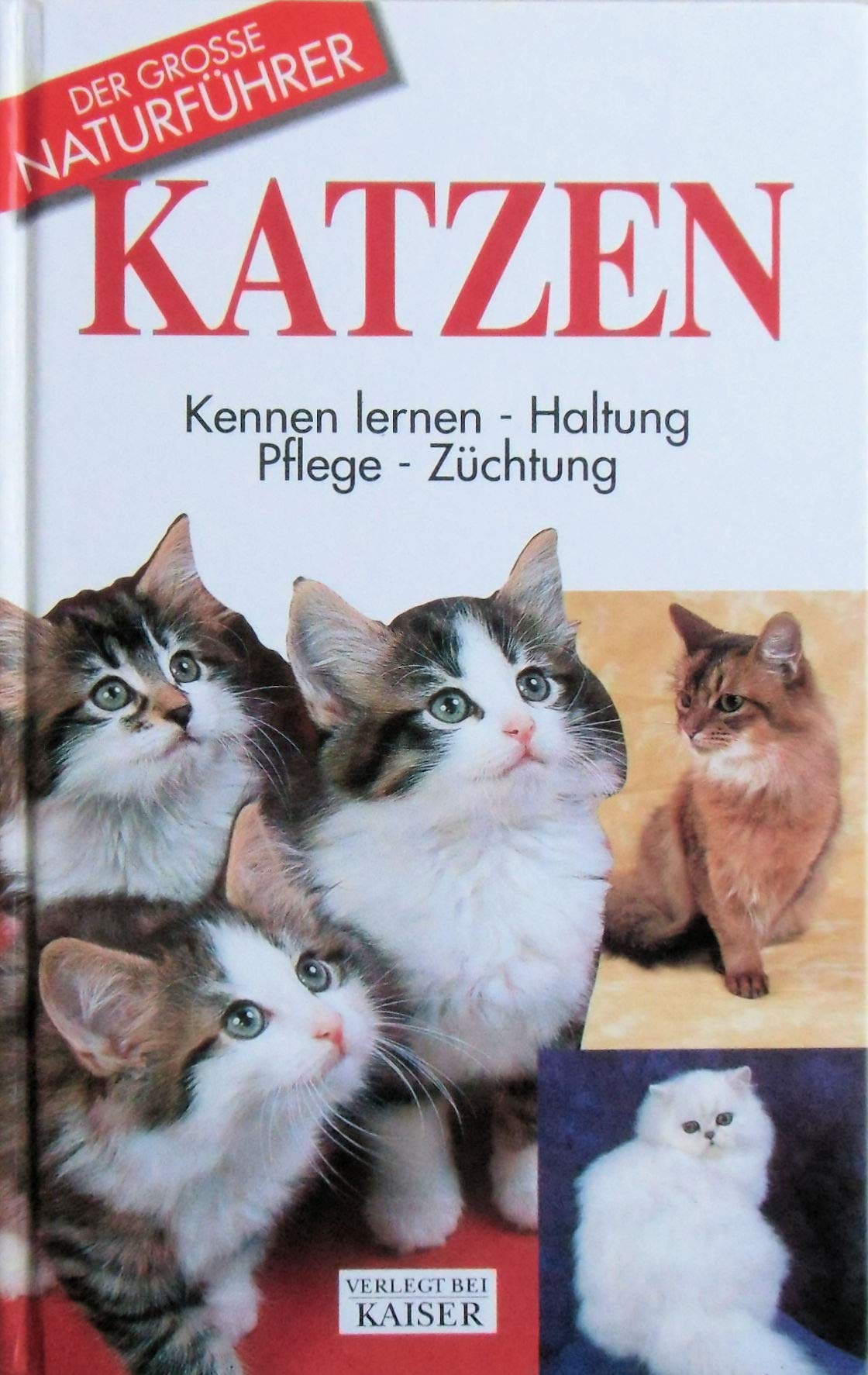 Katzen: Kennen lernen, Haltung, Pflege, Züchtung (Grosse Naturführer) Pets