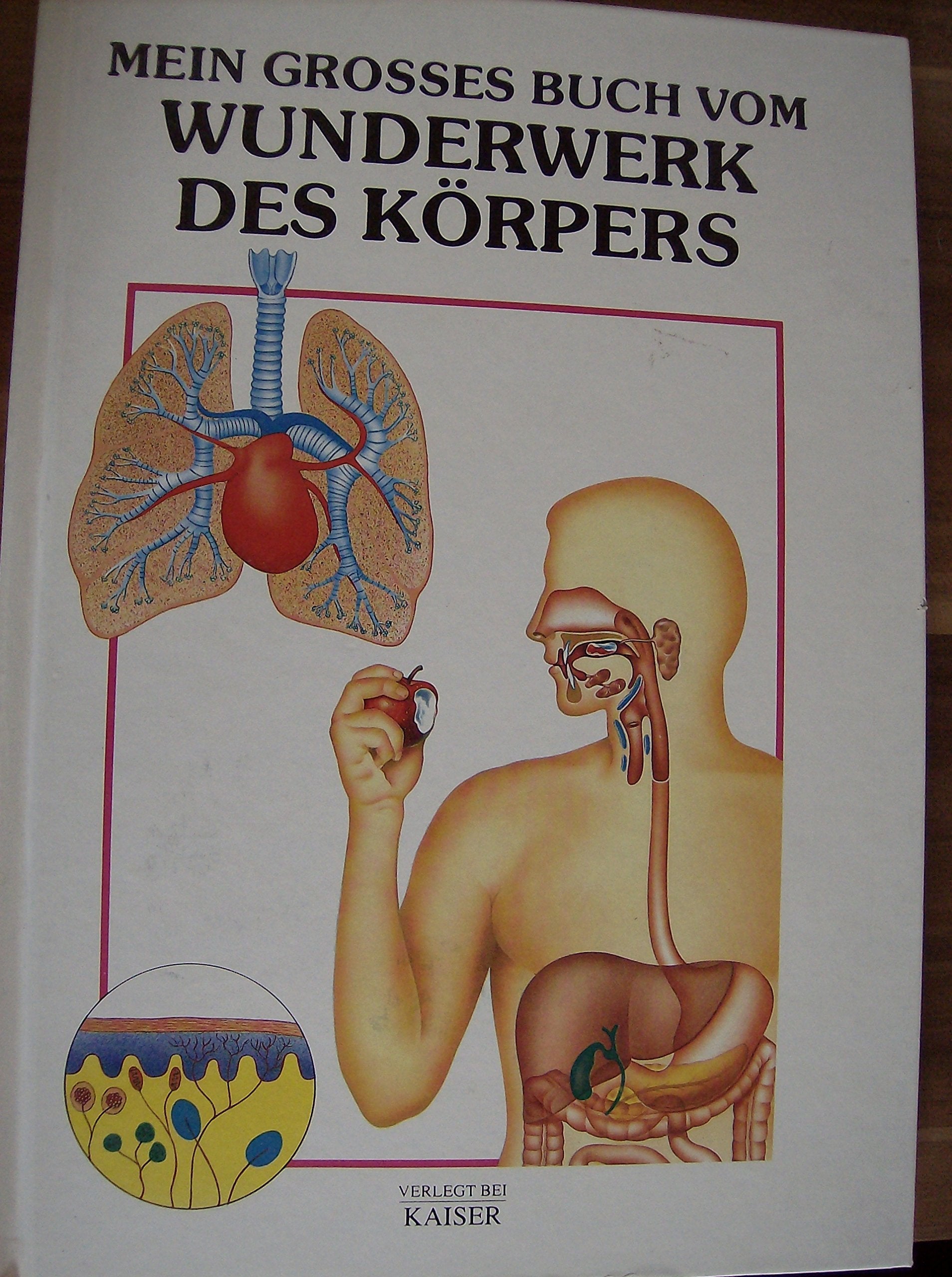 Product Image: Mein großes Buch vom Wunderwerk des Körpers