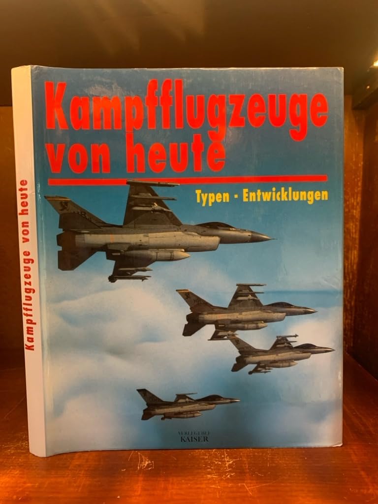 Kampfflugzeuge von heute. Typen-Entwicklungen Business & Technology