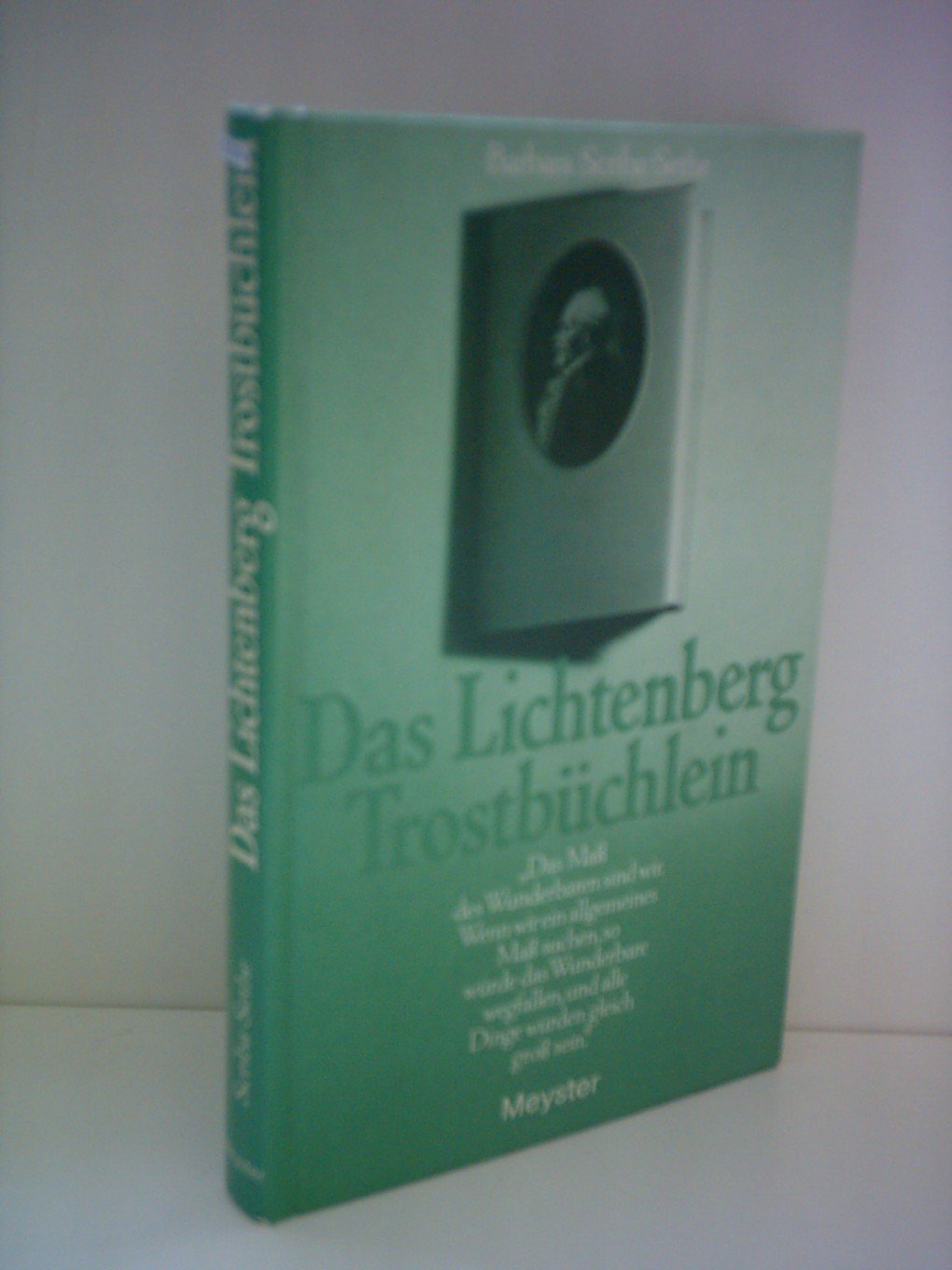 Das Lichtenberg-Trostbüchlein Books