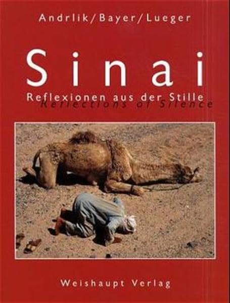Sinai: Reflexionen aus der Stille Leisure, Home & Garden
