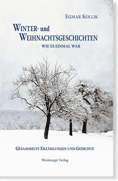 Winter- und Weihnachtsgeschichten Contemporary literature