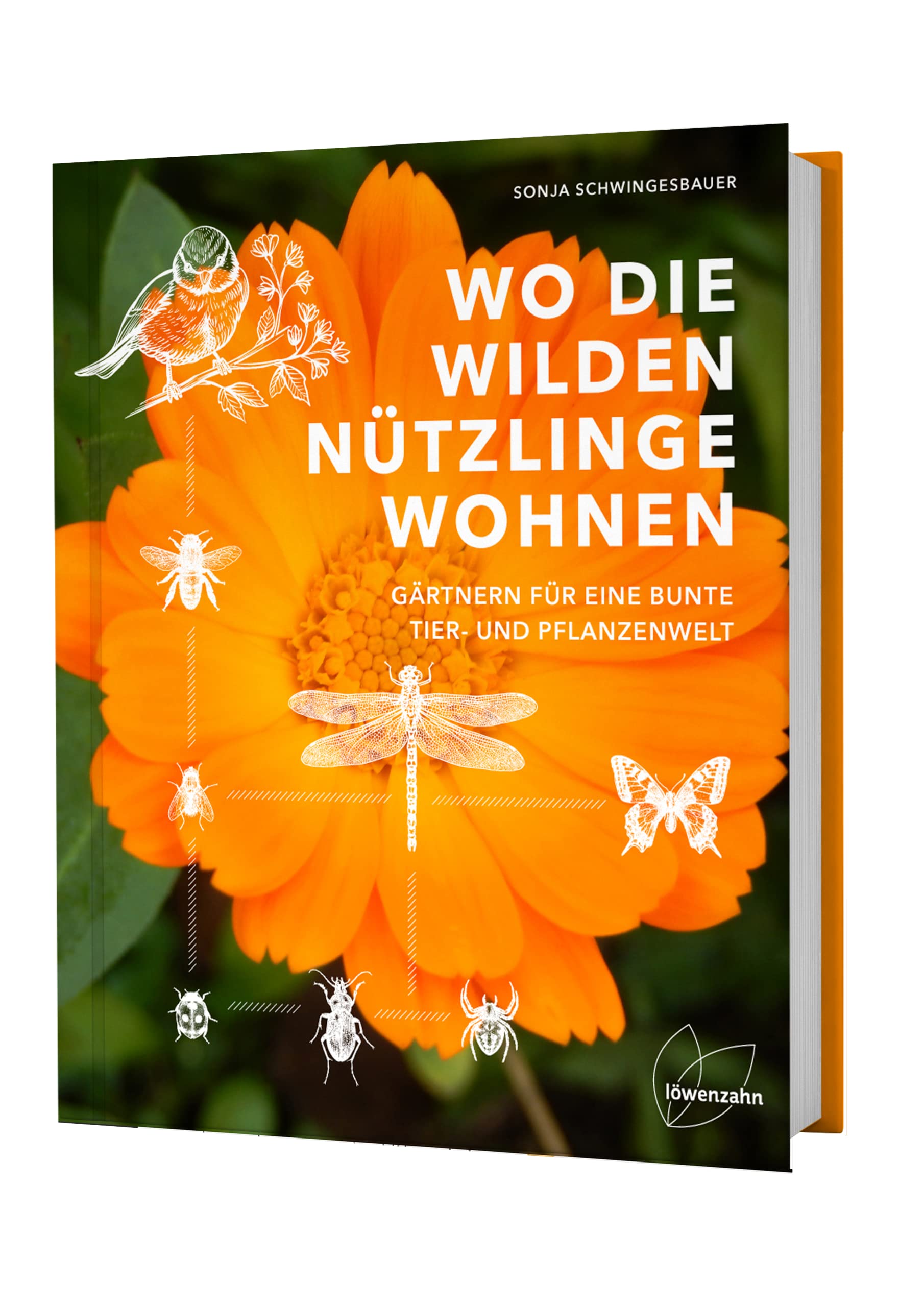 Wo die wilden Nützlinge wohnen Garden & Plants