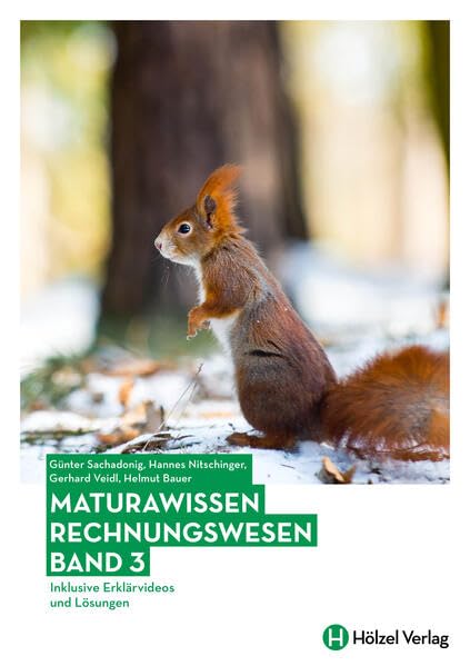 Maturawissen / Rechnungswesen Band 3: Lehr- und Lernmaterialien für die Berufsreifeprüfung/Lehre mit Matura/Berufsmatura / Maturawissen Rechnungswesen: 6 book