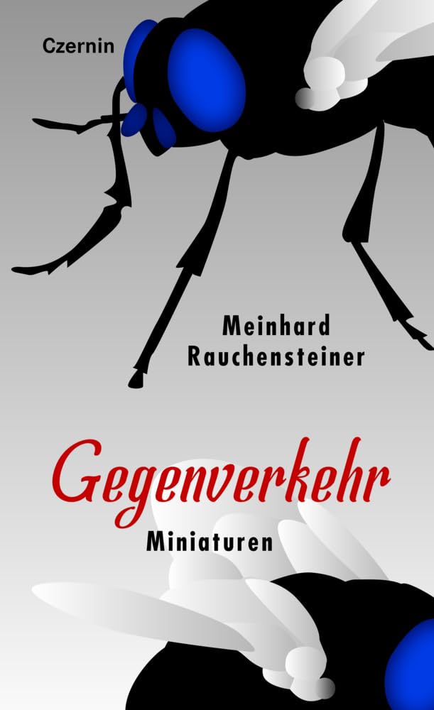 Gegenverkehr: Miniaturen Essays & Short Stories