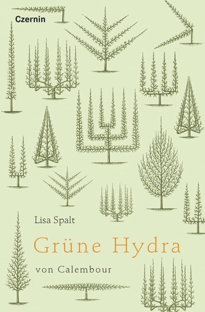 Product Image: Grüne Hydra von Calembour