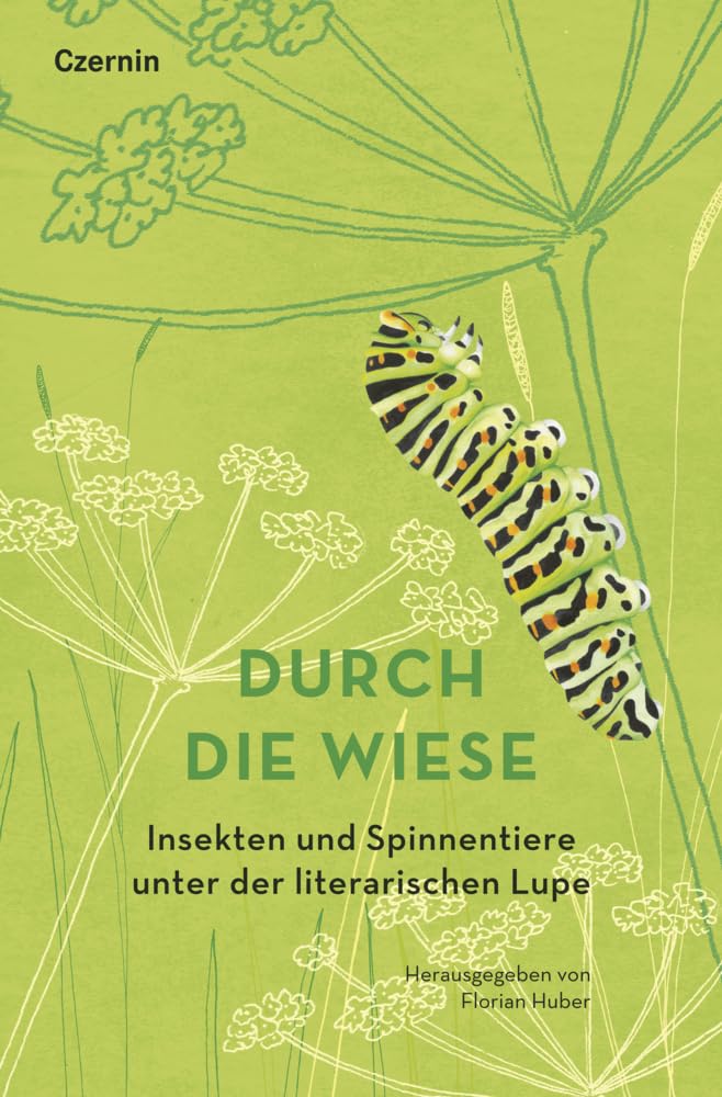 Durch die Wiese Contemporary literature Books