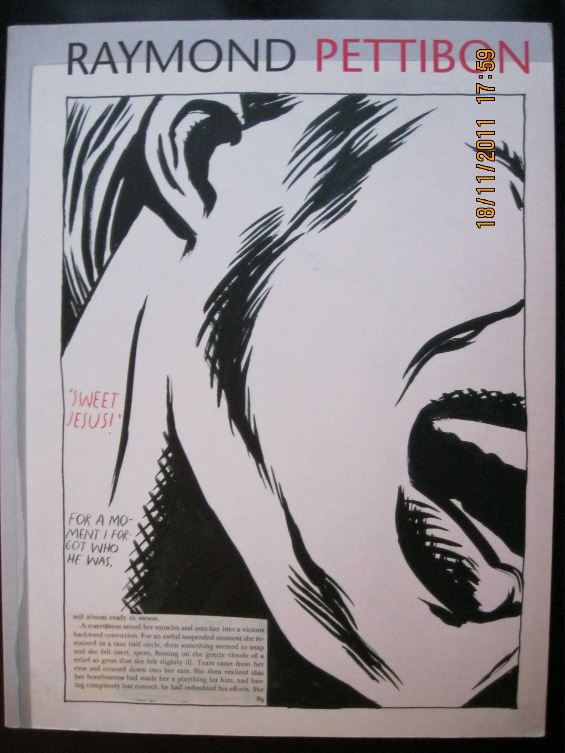 Raymond Pettibon: The Pages Which Contain Truth Are Blank Film, Art & Culture