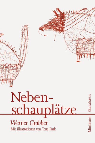 Nebenschauplätze: Mit Illustrationen von Tone Fink Contemporary literature