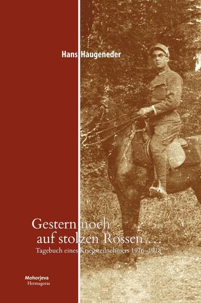 Gestern noch auf stolzen Rossen…: Tagebuch eines Kriegsteilnehmers 1916-1918 Politics & History