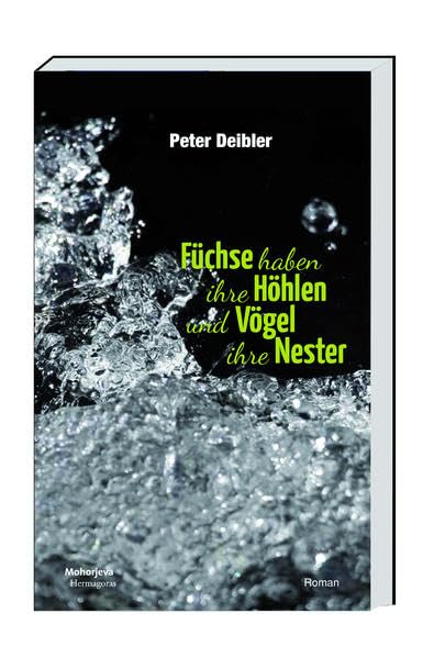 Füchse haben ihre Höhlen und Vögel ihre Nester Contemporary literature