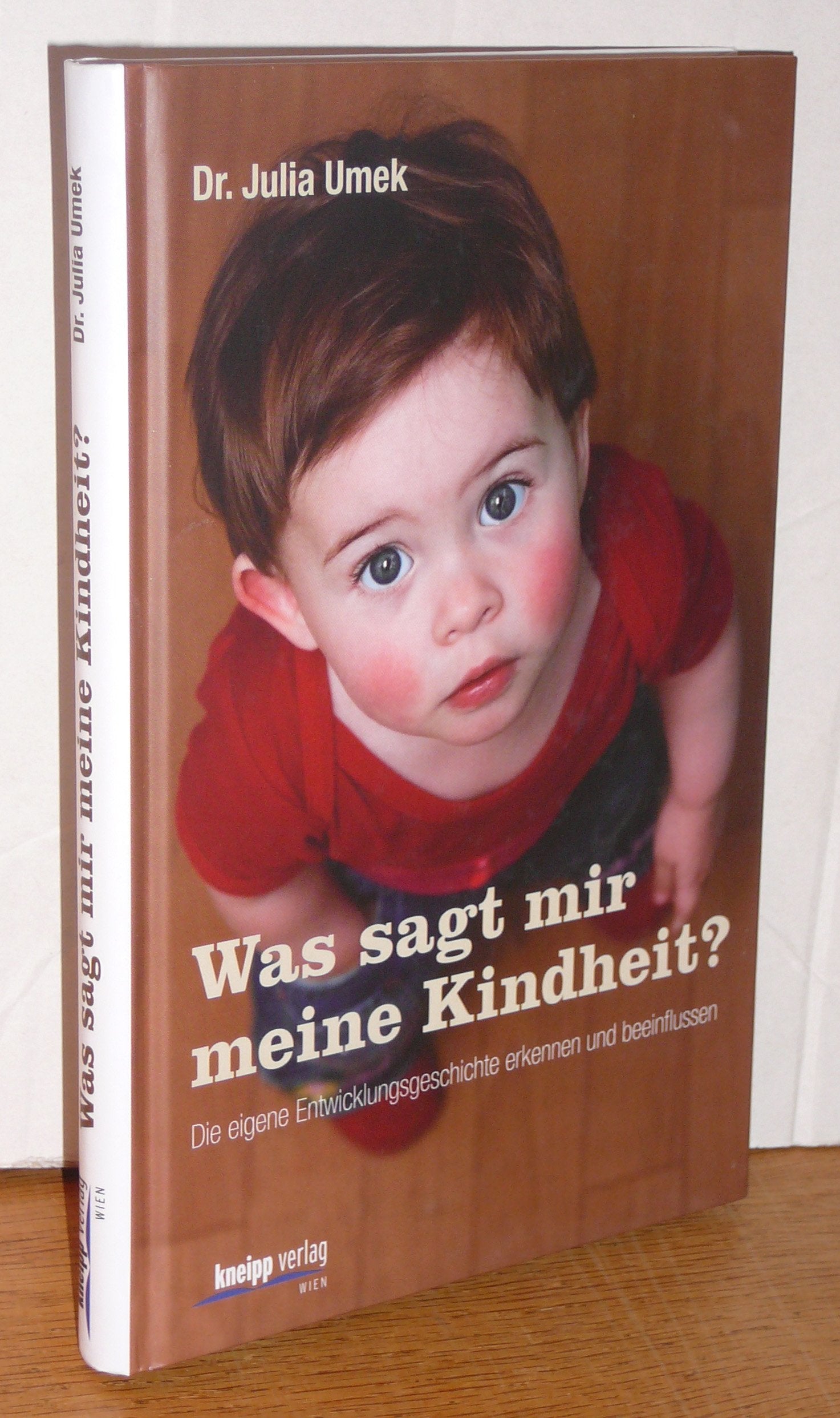 Was sagt mir meine Kindheit?: Die eigene Entwicklungsgeschichte erkennen und beeinflussen Lifestyle