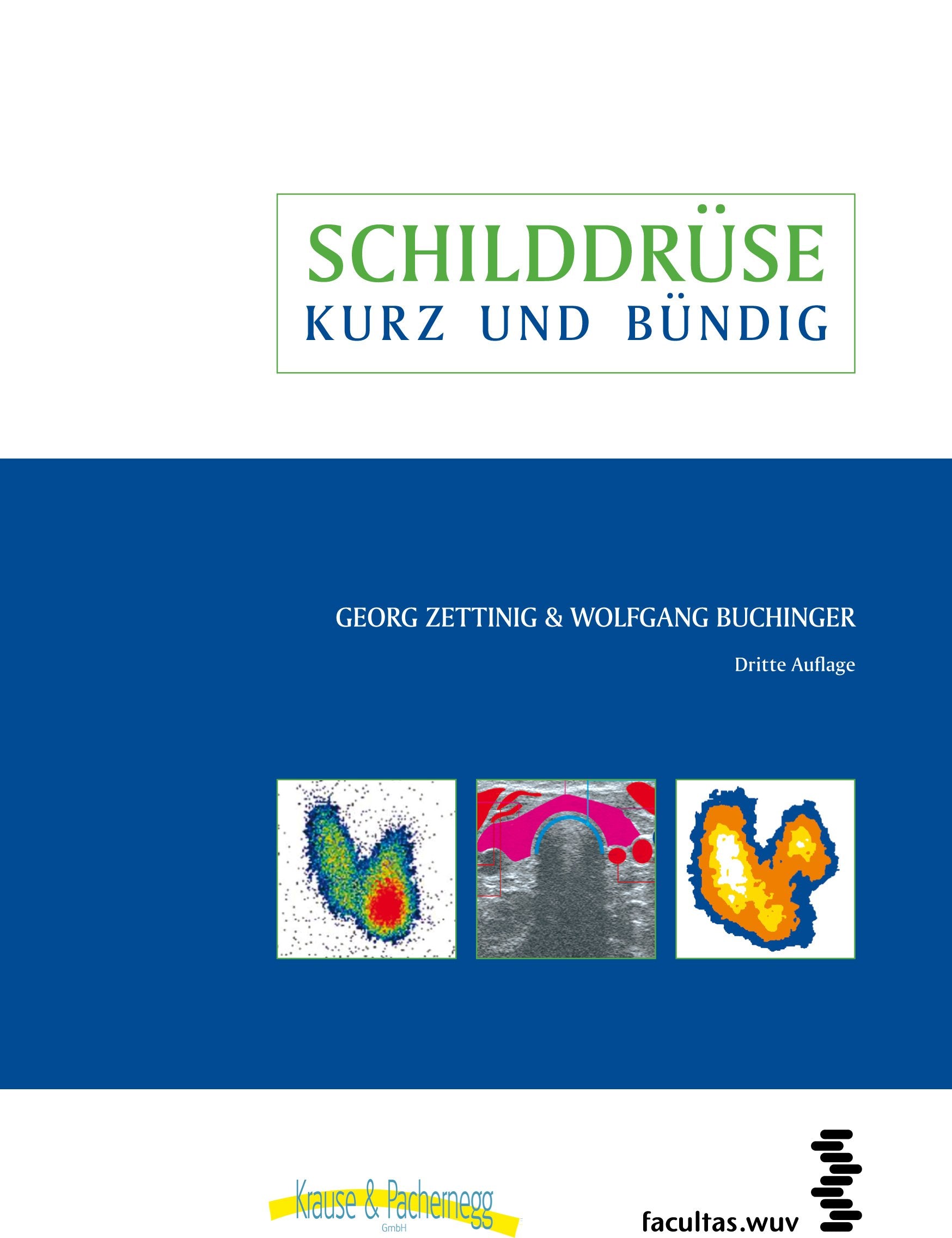 Product Image: Schilddrüse - kurz & bündig