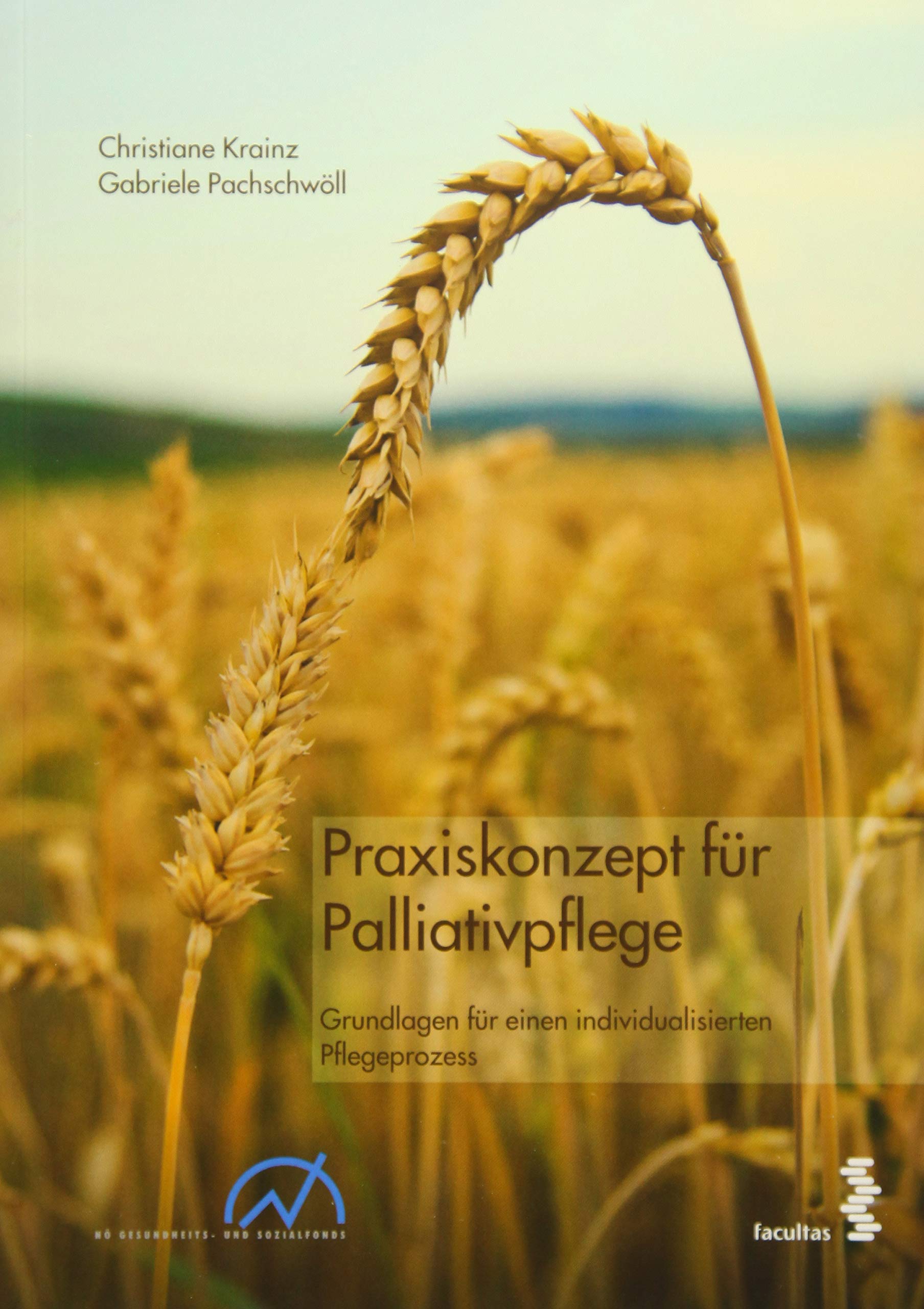 Praxiskonzept für Palliativpflege book