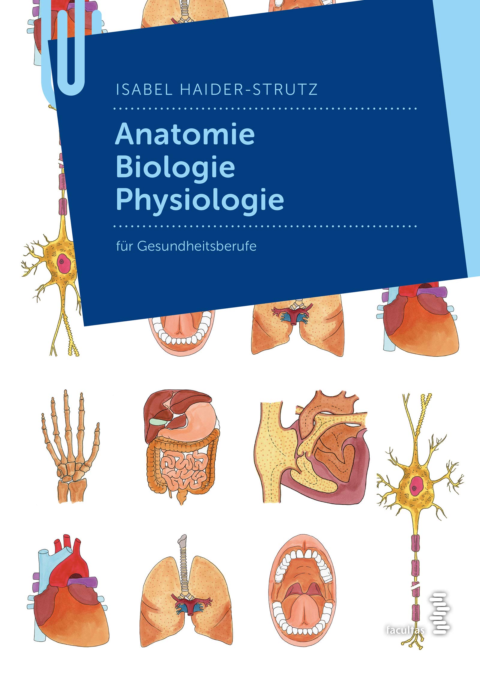 Anatomie - Biologie - Physiologie: für Gesundheitsberufe Medicine