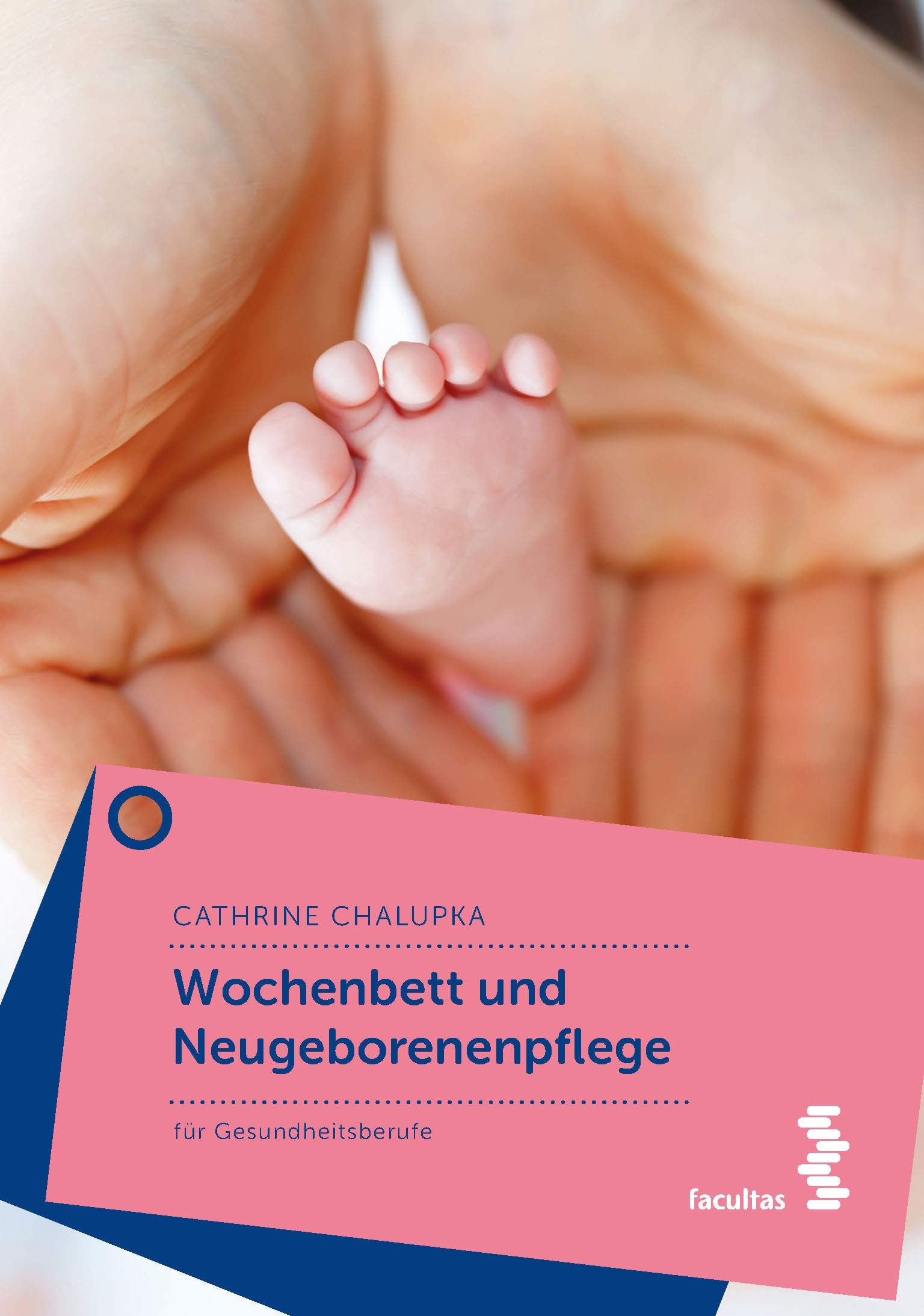 Wochenbett und Neugeborenenpflege: für Gesundheitsberufe Medicine