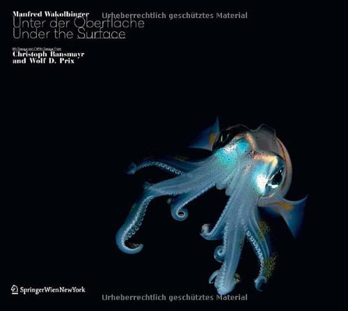 Unter der Oberfläche/ Under the Surface: Mit Beiträgen von/With contributions by Christoph Ransmayr and Wolf D. Prix Photography