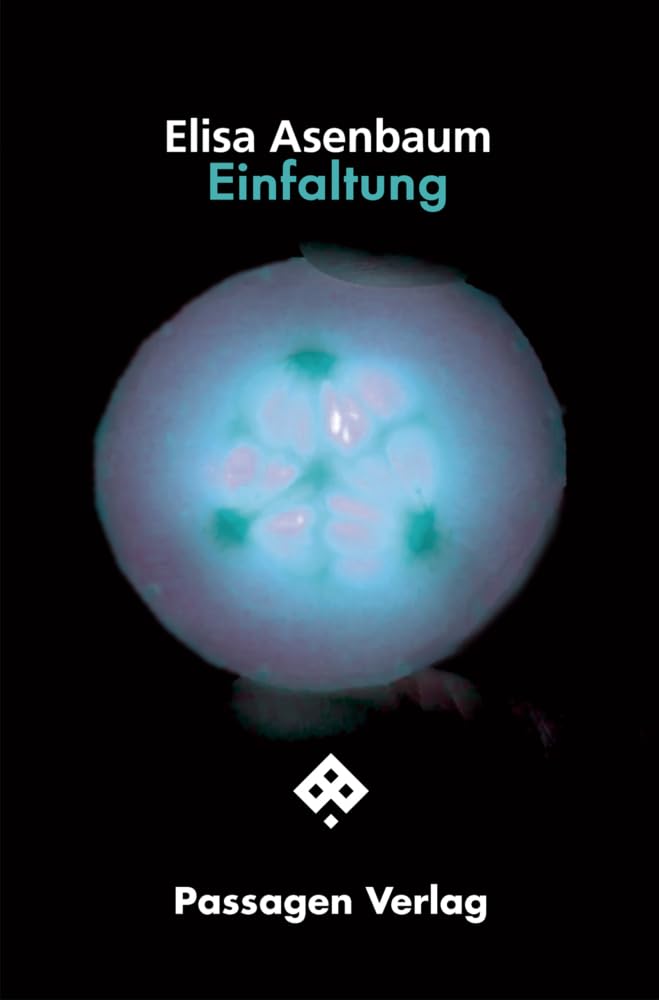 Einfaltung: Eine philosophische Fiktion (Passagen Literatur) Contemporary literature