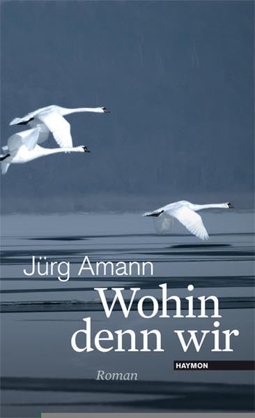 Wohin denn wir: Roman Contemporary literature